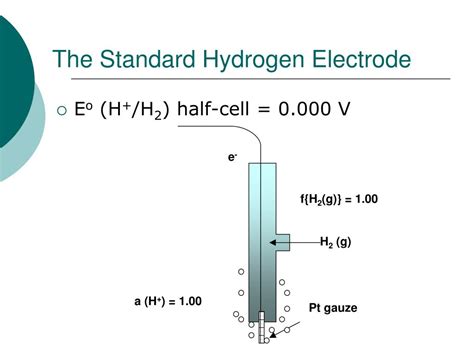 Standard Hydrogen Electrode Cell Notation