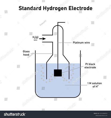 Standard Hydrogen Electrode Demonstration