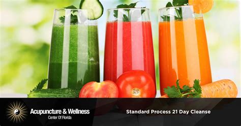 standard process 21 day cleanse booklet