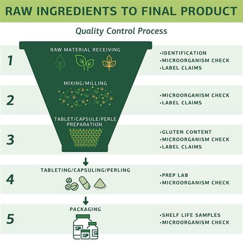 standard process cleanse guide