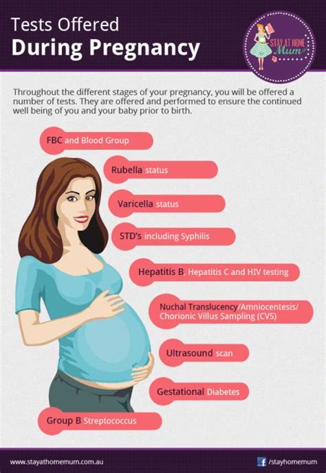 standard std test during pregnancy