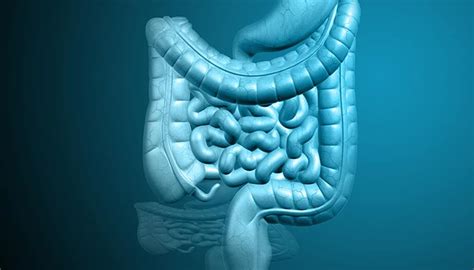 Standing And Digestion