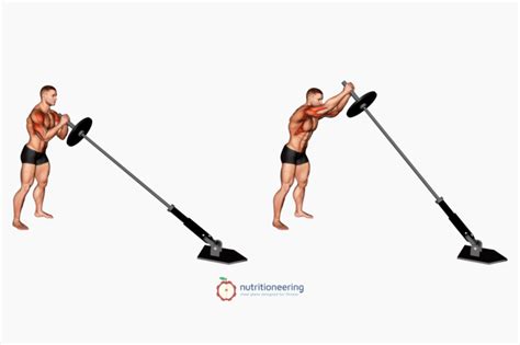 Standing Barbell Chest Exercises