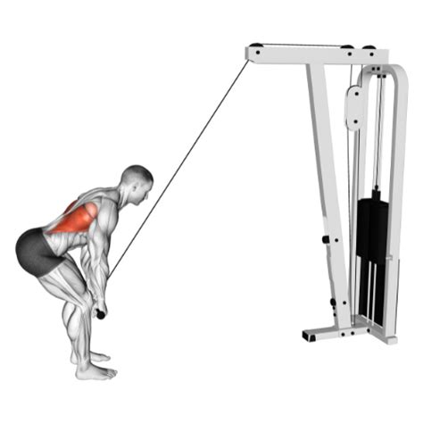 Standing Cable Lat Pull Through