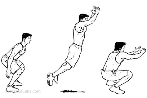 Standing Long Jump Procedure