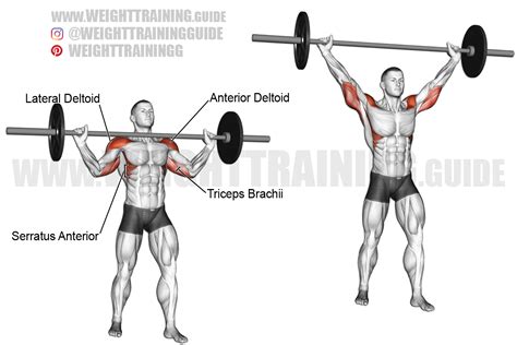 Standing Overhead Press Grip