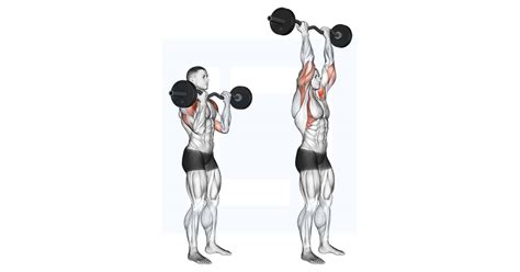 Standing Overhead Press With Ez Curl Bar