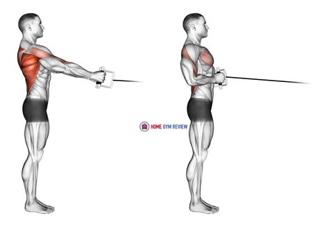 Standing V Bar Cable Row