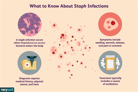 Staph Infection Definition