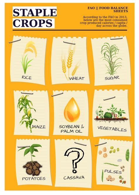 Staple Definition Crop