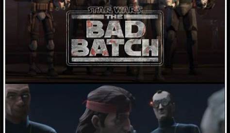 Bad Batch Meme (31/?). | Star wars humor, Star wars fandom, Memes