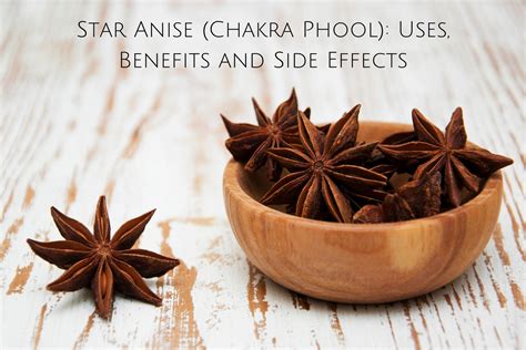 Star Anise Chakra