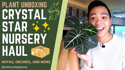 Star Nursery Guarantee