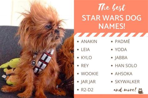 star wars dog names girl
