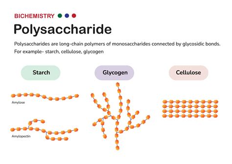 Carbohydrates WOW! Macromolecules