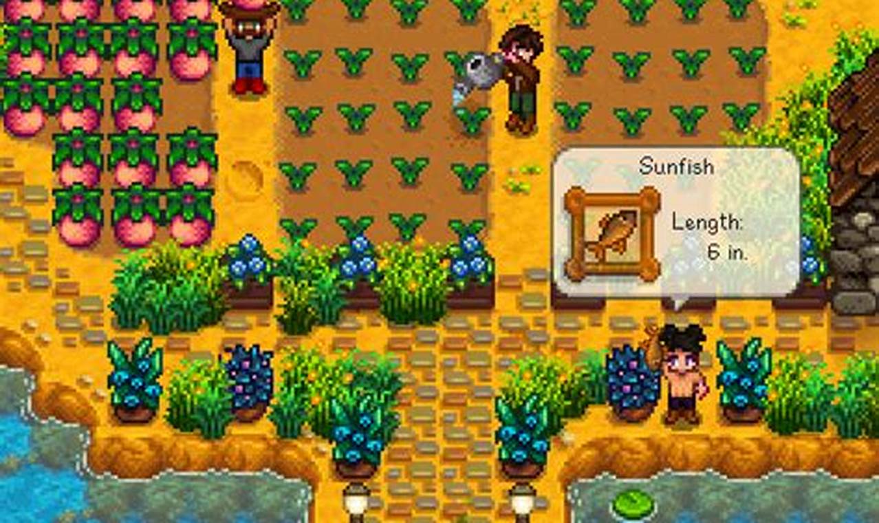 Everything You Need to Know About Stardew Valley Co-op Multiplayer