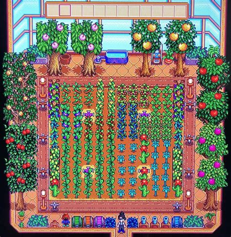 Stardew Greenhouse Layout