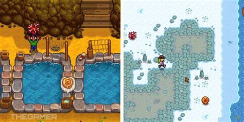 Stardew Valley Expanded Nautilus Shell