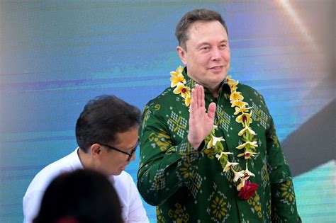 starlink elon musk indonesia