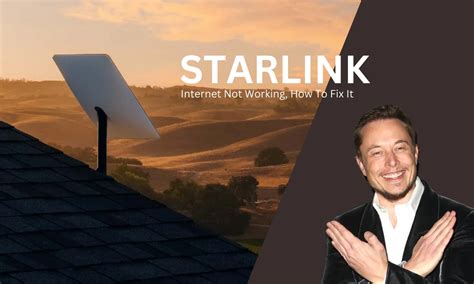 starlink internet not working