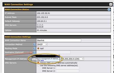 starlink router settings ip address