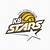stars volleyball club