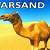 starsand camel