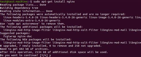 start nginx command line