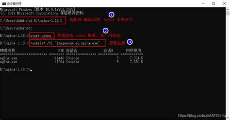 start nginx windows command line