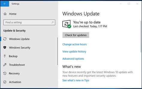 start windows update