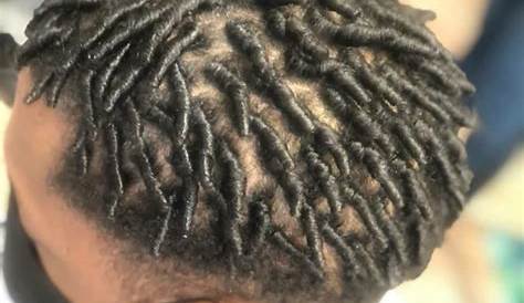 Starter Locs Styles On Short Hair Male Pin By Alexander Smith Twist