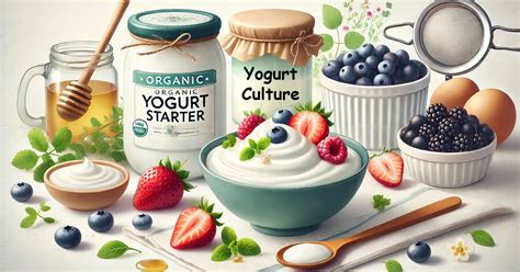 Starters Yogurt