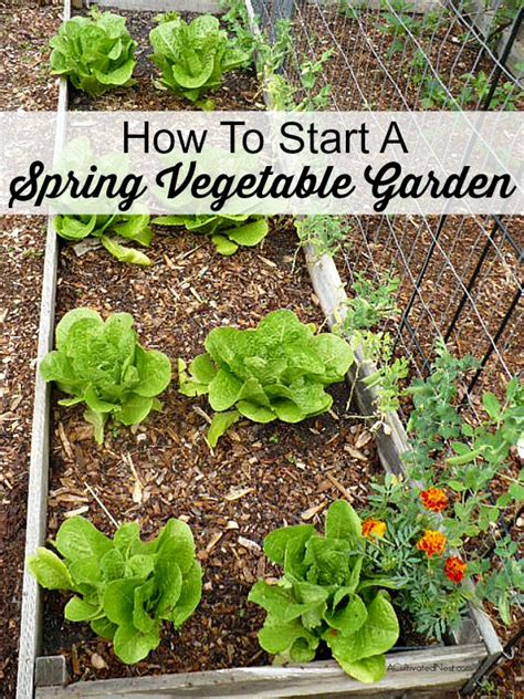 Starting A Vegetable Garden In Spring