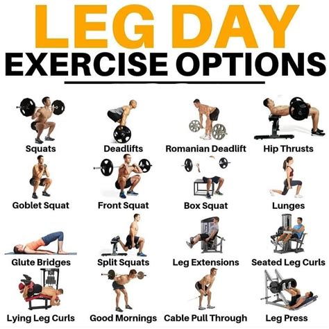 Starting Strength Leg Day