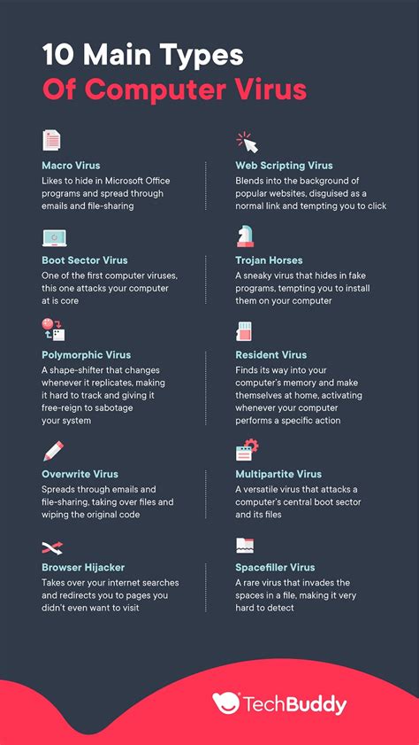state and explain three types of computer virus