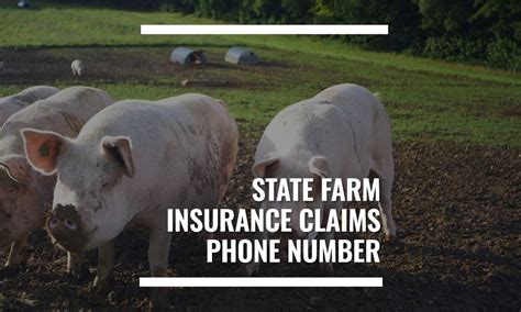 state farm medical claims provider phone number