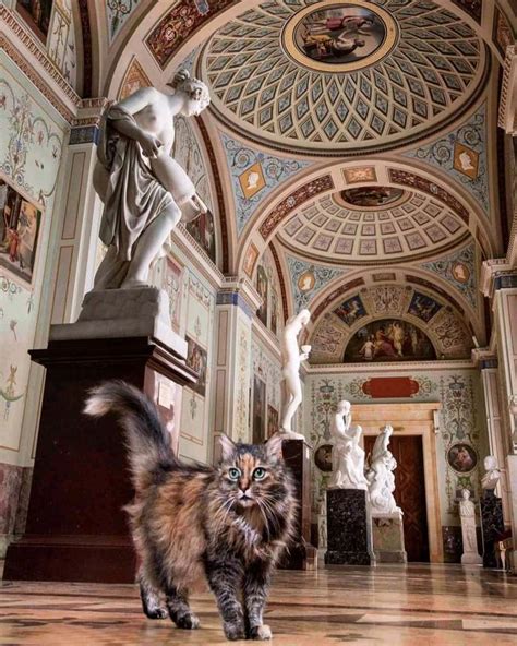 State Hermitage Museum Cats