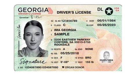 state license renewal ga