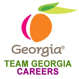state of georgia careers jobs