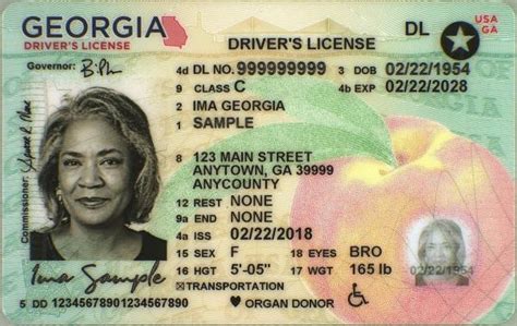 state of georgia license renewal