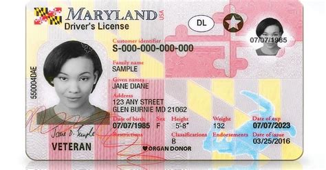 state of maryland license lookup