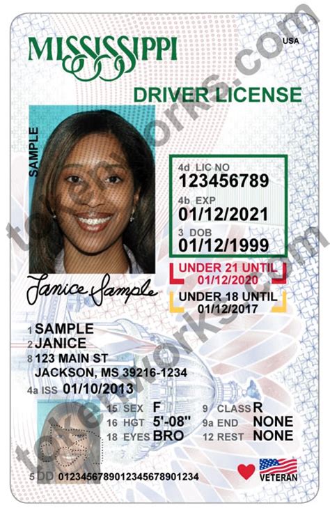 state of mississippi license verification
