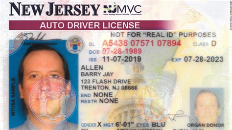 state of new jersey license verification