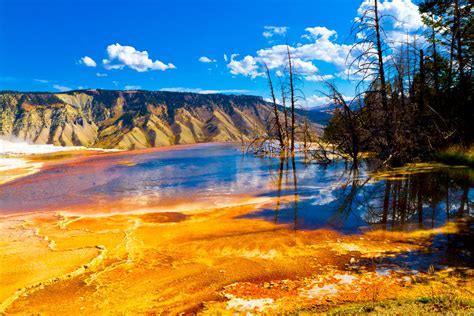 state of yellowstone national park
