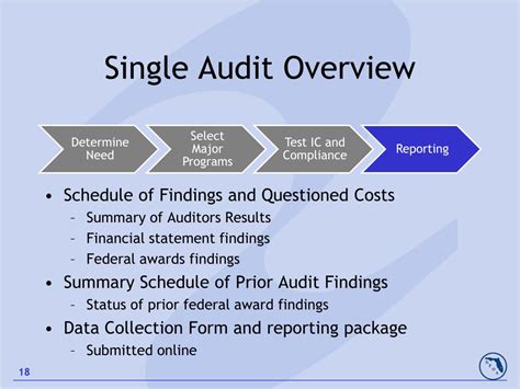 state single audit guidelines