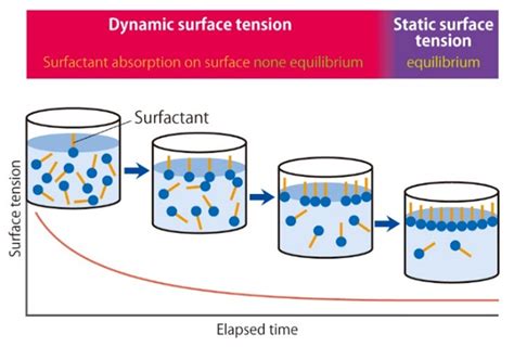 Static Vs Dynamic Surface Tension