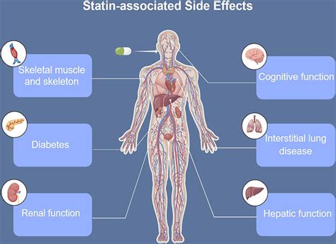 statins and fatigue