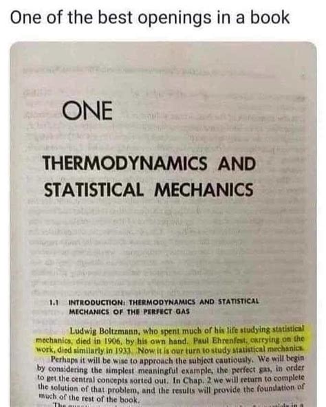 Statistical Mechanics Textbook Meme