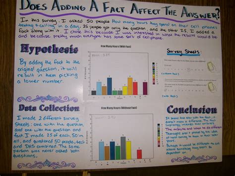 statistical questions examples for project