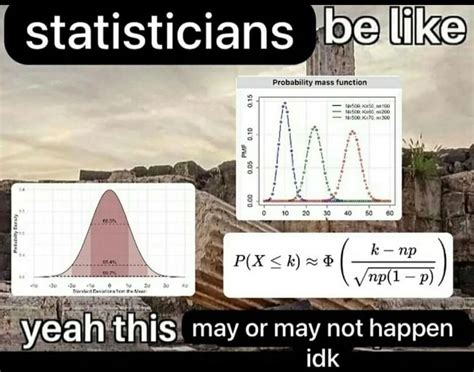 Statistics Meme